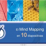 10 Diapositivas para conocer el Mind Mapping